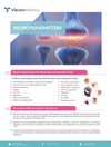 Neurotransmitters Test