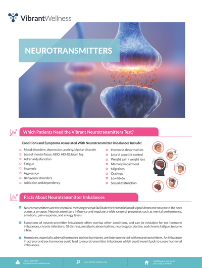 Neurotransmitters Test