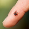 Tick-Borne Disease Test